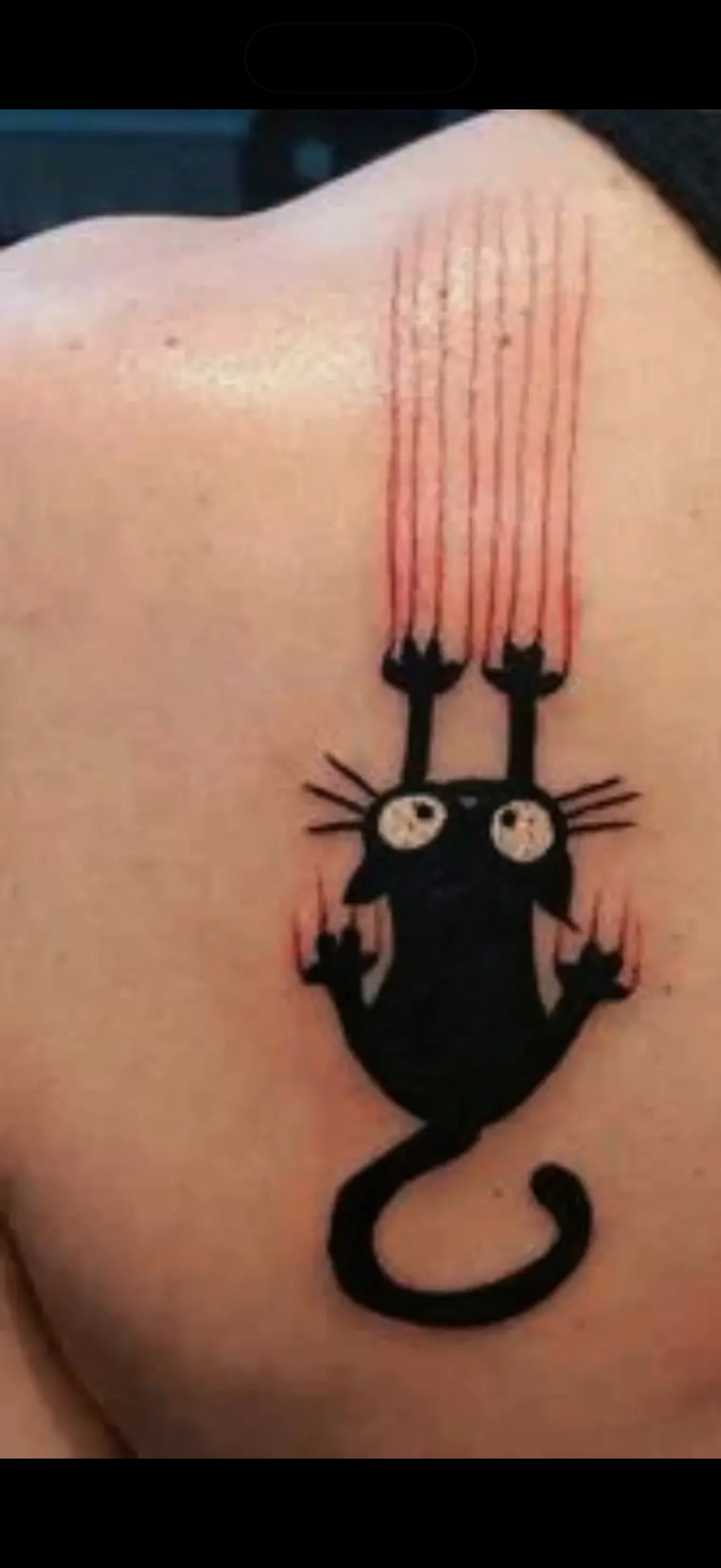 Scratch Bob tattoo idea