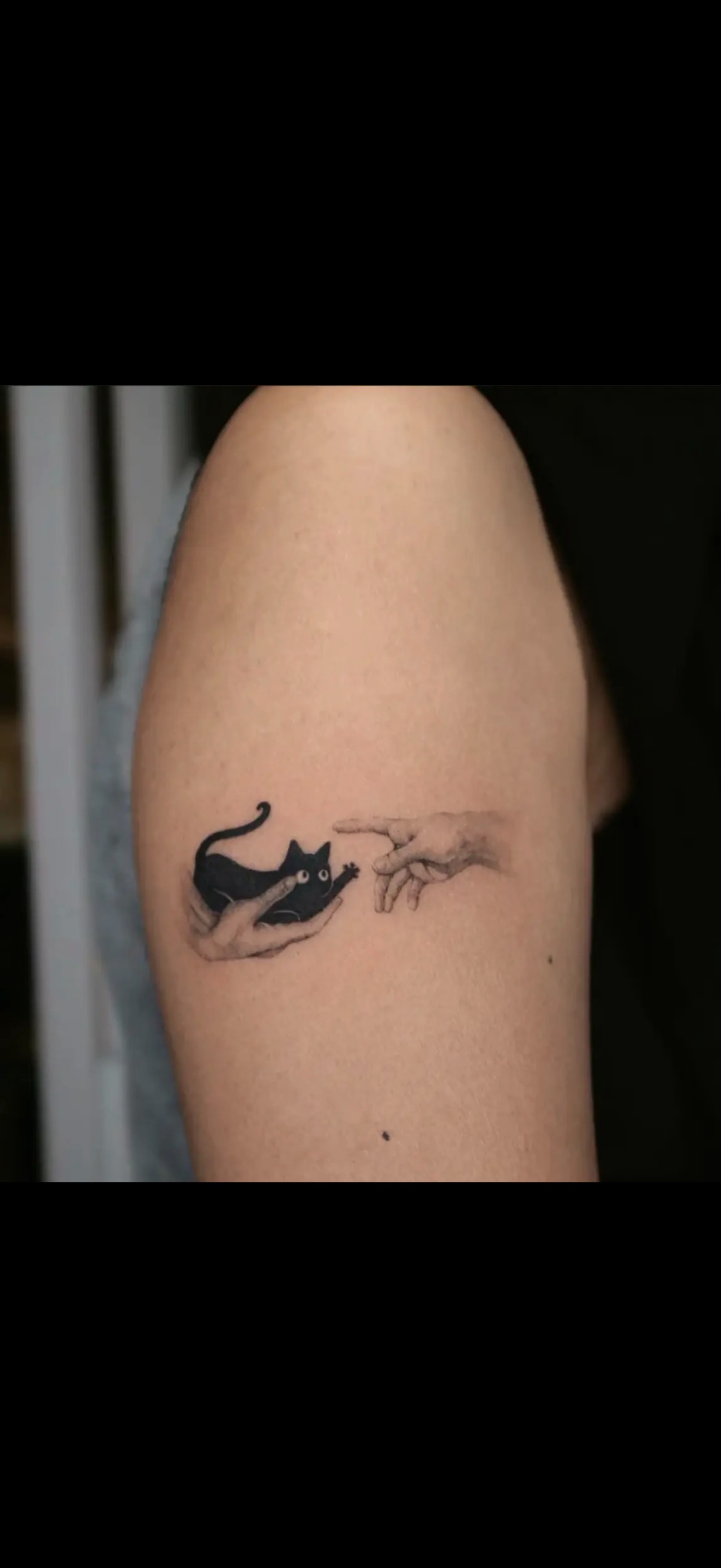 Tiny cat touch tattoo idea