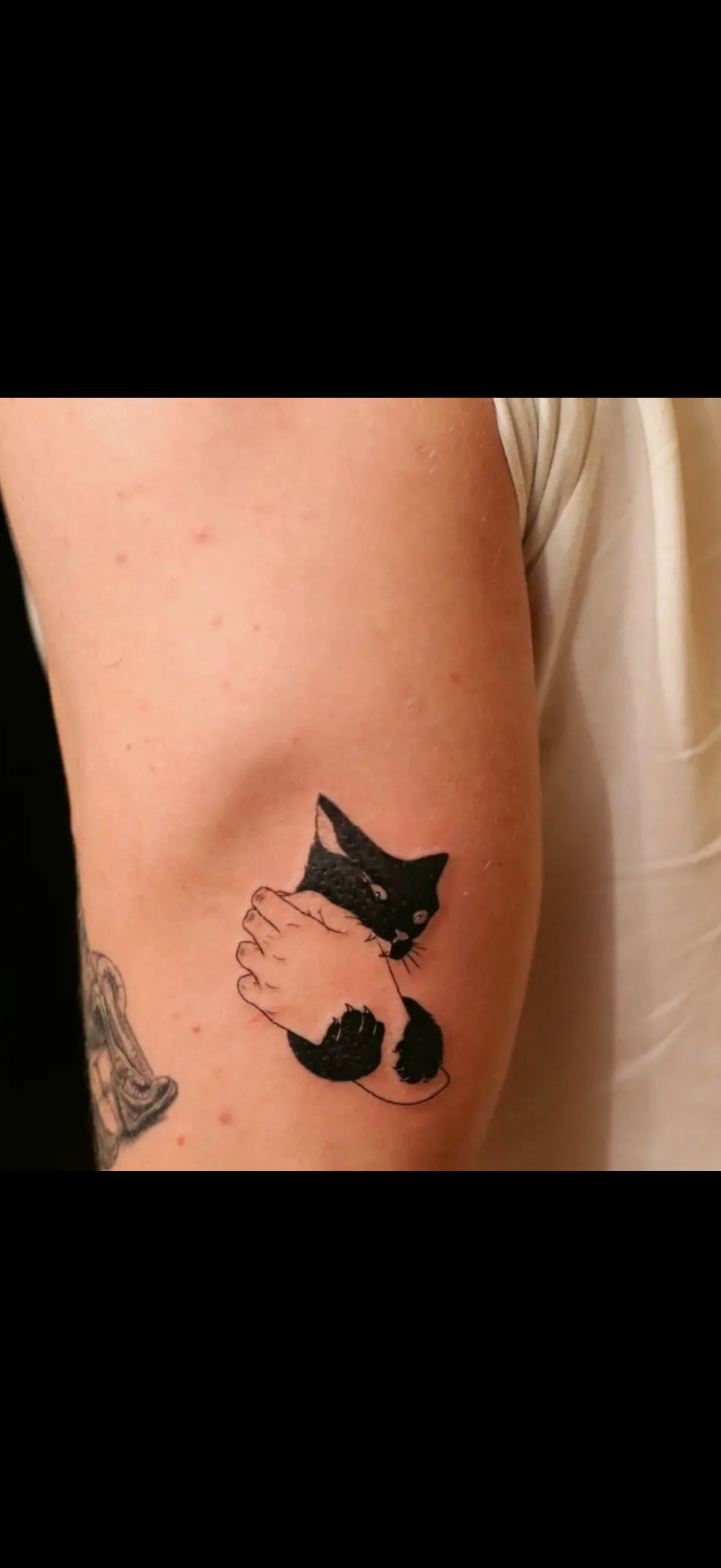 Held cat tattoo idea