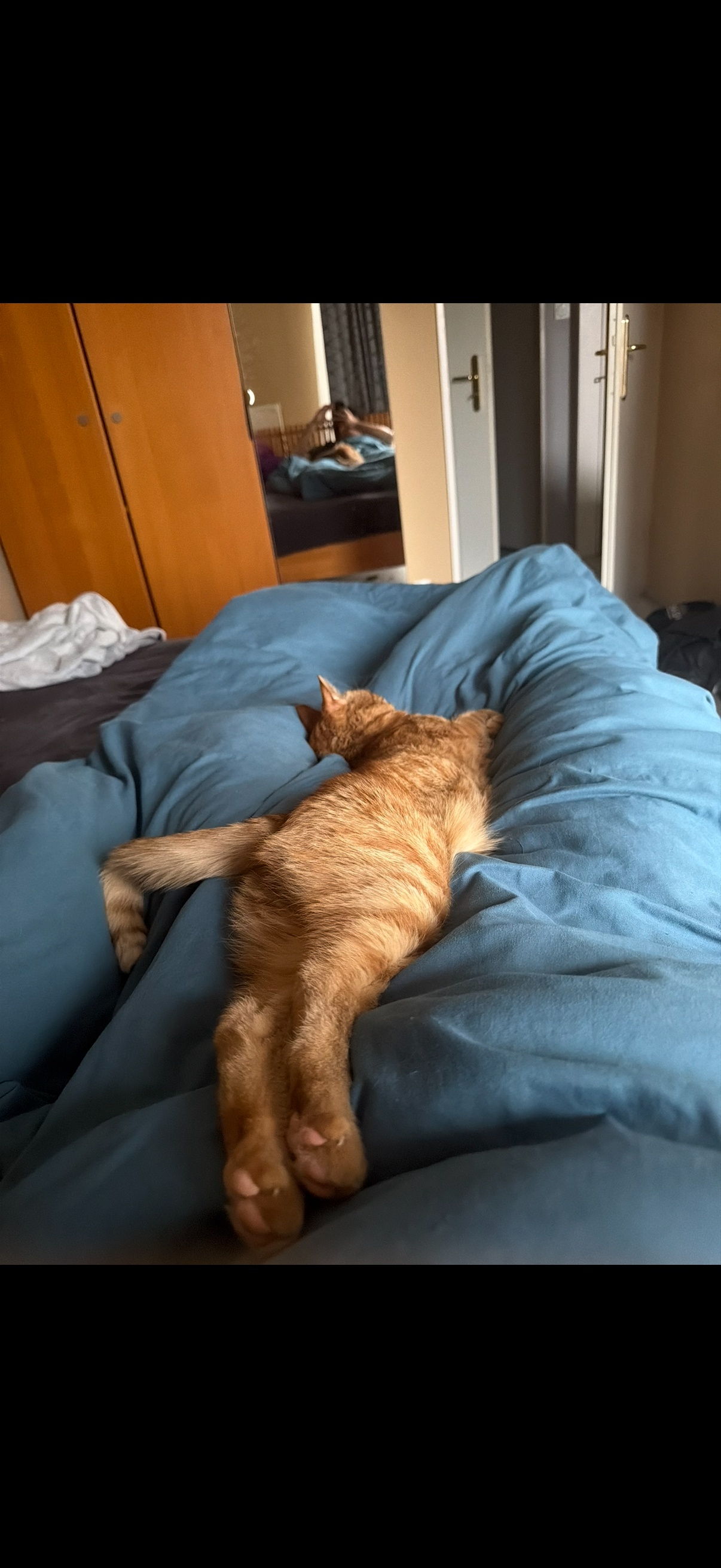 Bob captcha 4